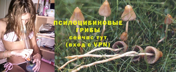 тгк Алексин