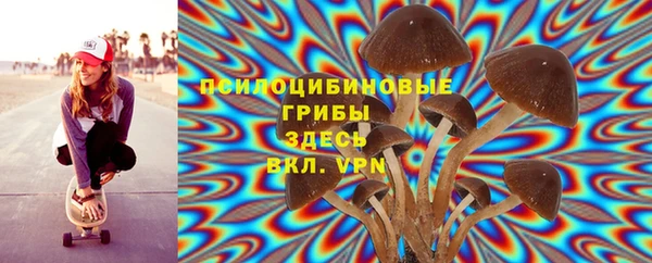 соль ск Алзамай